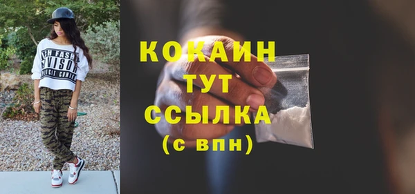 молекула духа Гусиноозёрск