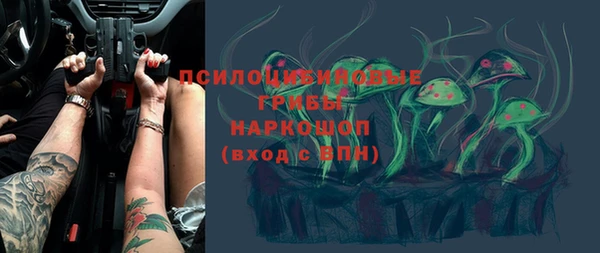 молекула духа Гусиноозёрск