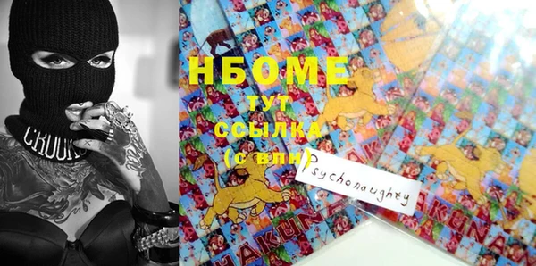 молекула духа Гусиноозёрск