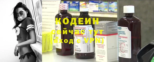 прущий лед Гусев