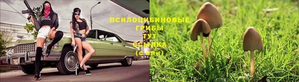 MDMA Premium VHQ Гусь-Хрустальный