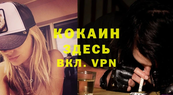 молекула духа Гусиноозёрск